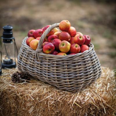 Bembridge Forage Basket Rattan Bembridge Forage Basket Rattan