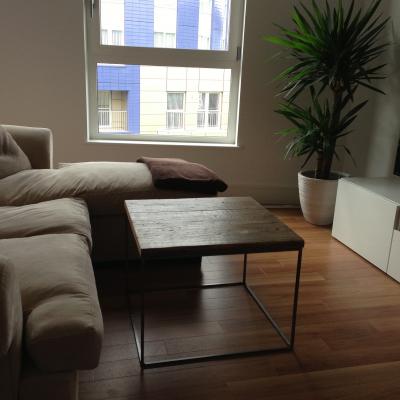 Metal Frame Reclaimed Wood Low Table
